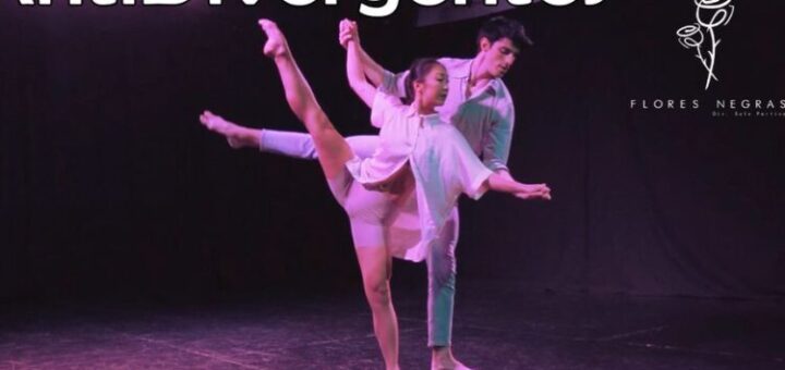 videodanza antidivergentes
